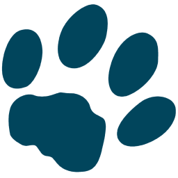 favicon-2